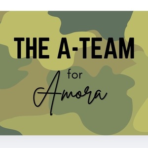 The A-Team (+$6000 match!)